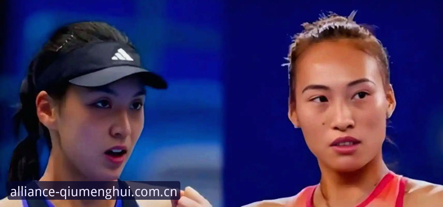 球盟会电脑版下载安装失败 2026法网女单抽签深度分析:郑钦文保分压力与王欣瑜种子身份下的中国金花前景